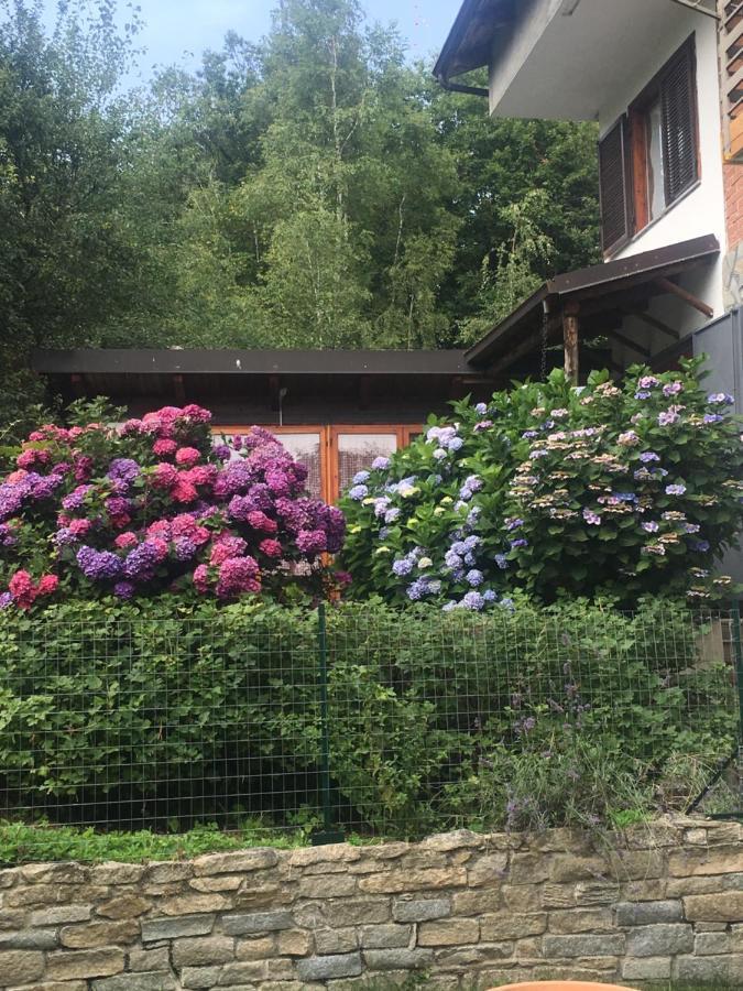 Bed and Breakfast Lo Scoiattolo Giaveno Zewnętrze zdjęcie