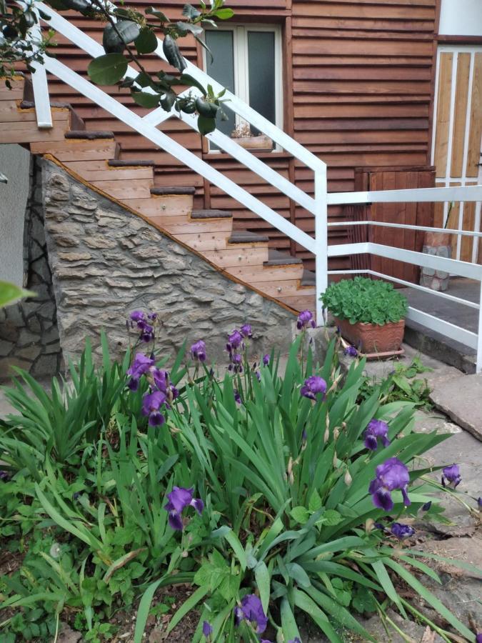 Bed and Breakfast Lo Scoiattolo Giaveno Zewnętrze zdjęcie